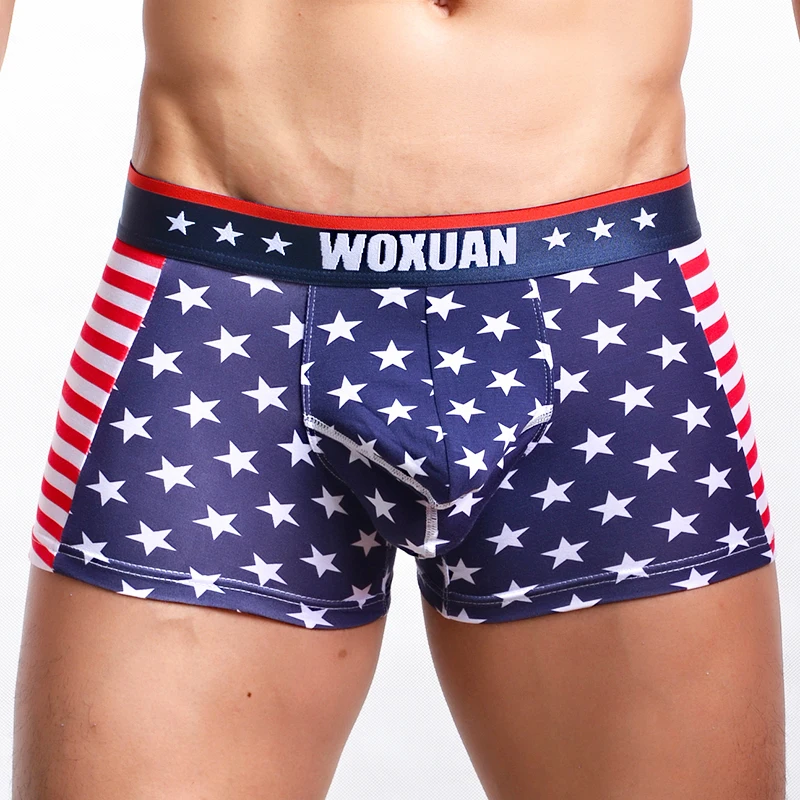 Men Male Underwear boxers USA Flag Striped Cotton Boxer Shorts Panties Clothing Cueca Cuecas Boxer U Convex Pouch Panties