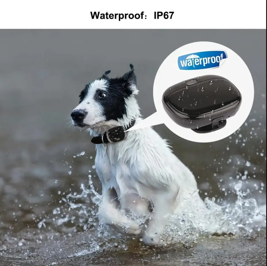 RF-V43 4G LTE Tracker Waterproof Pet Tracker WIFI Tracking Pet Dog LED Light Voice Monitor Dog Gps Tracker For Tracking System