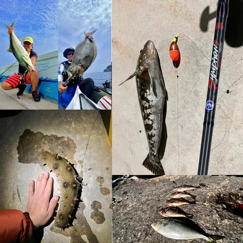 Vara de Pesca Biutifu Phishger Spinning Casting 1.8m a 3.0m Carbono — foto 5