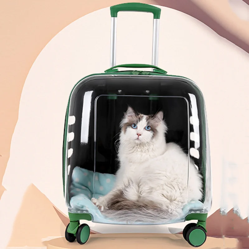 

Crate Animals Cats Carriers Small Hamster Travel Stroller Cats Carriers Outdoor Clear Transportador De Gatos Cats Products