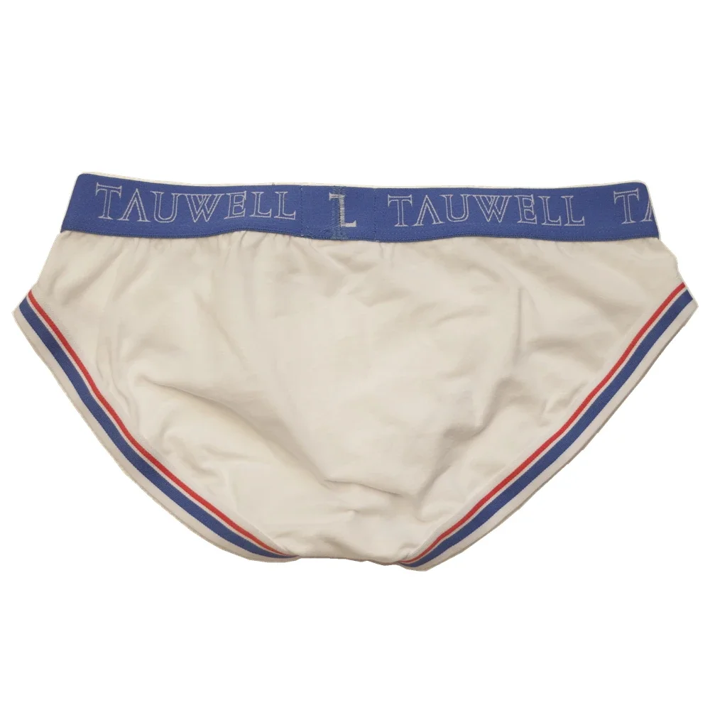 Cotton Bulge Briefs for Men Sexy Low Rise U Convex Pouch Underpants Breathable Comfortable Sports Panties Student Daily Knickers