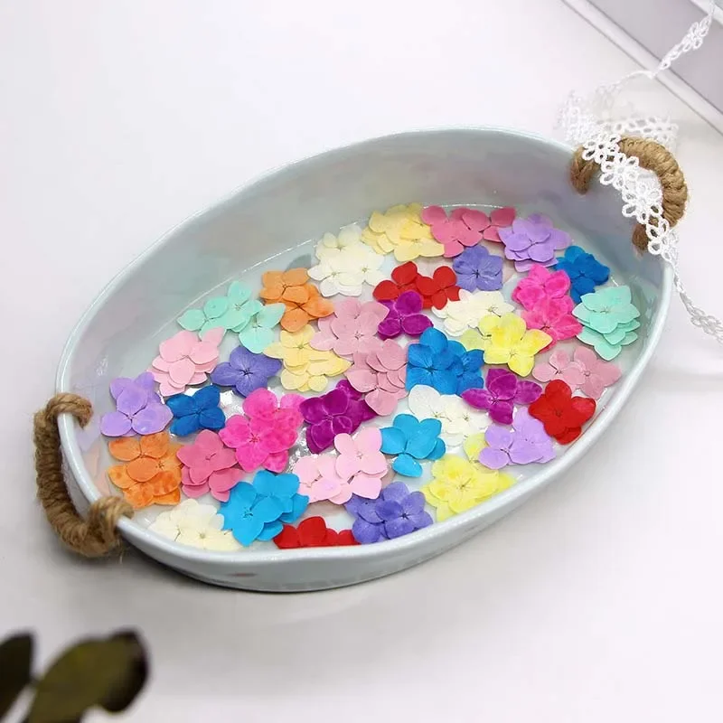 1.5~2.5CM/24PCS Real Natural Dried Pressed Hydrangea Flower Head,Dry Press Flowers Petals For Epoxy Resin Jewellery,Phone Case