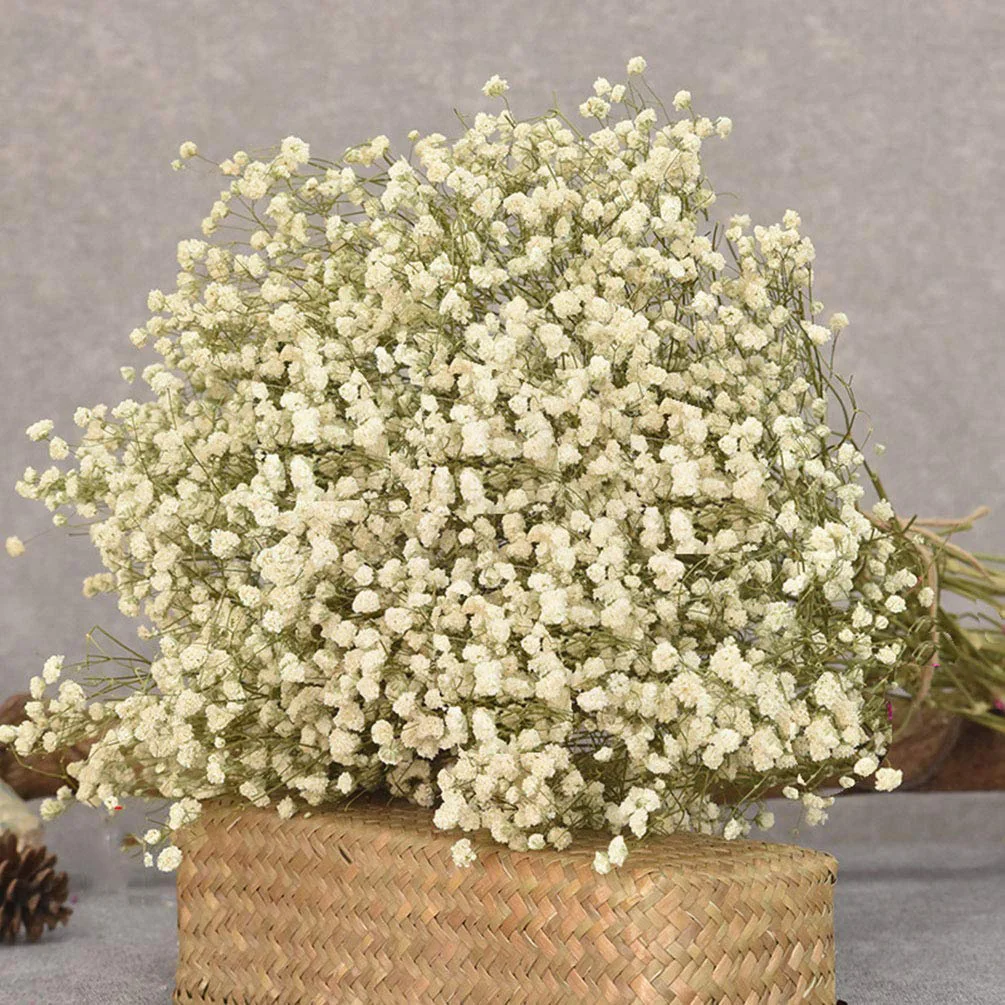 

Натуральная Гипсофила, Детская фотография, подарок на день Святого Валентина, украшение для свадебной вечеринки, сохраненный Декор для дома