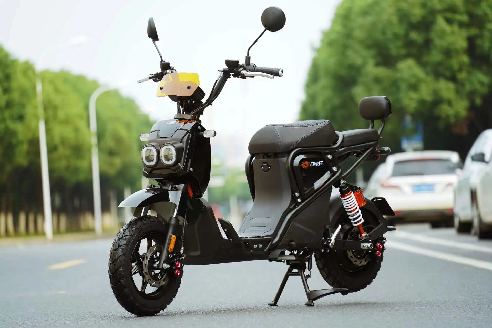 Electric motorcycle