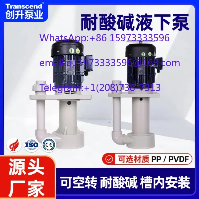 In-Tank Vertical Pump Engineering Plastic PP Centrifugal Vertical Submerged High Temperature Pump Chemical Use