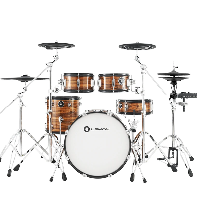 T950 DWG Drum Electric Drum Kit Electronic Drum Set All Mesh Head