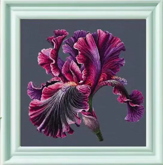 Iris Flower Flowers… - image