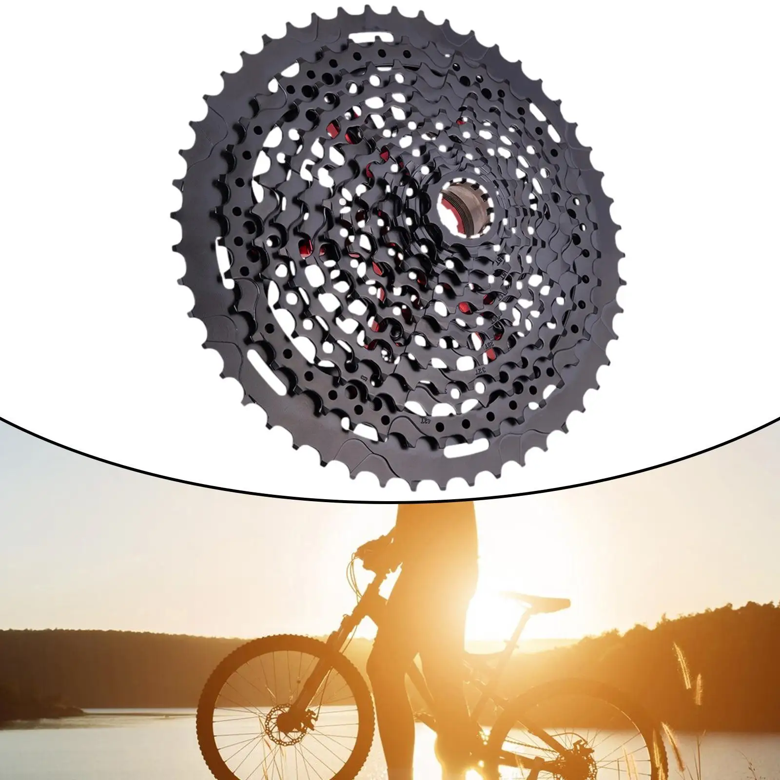 

Bicycle Freewheel Lightweight 9-50T Bicycle Road Bikes Cycling Accessories