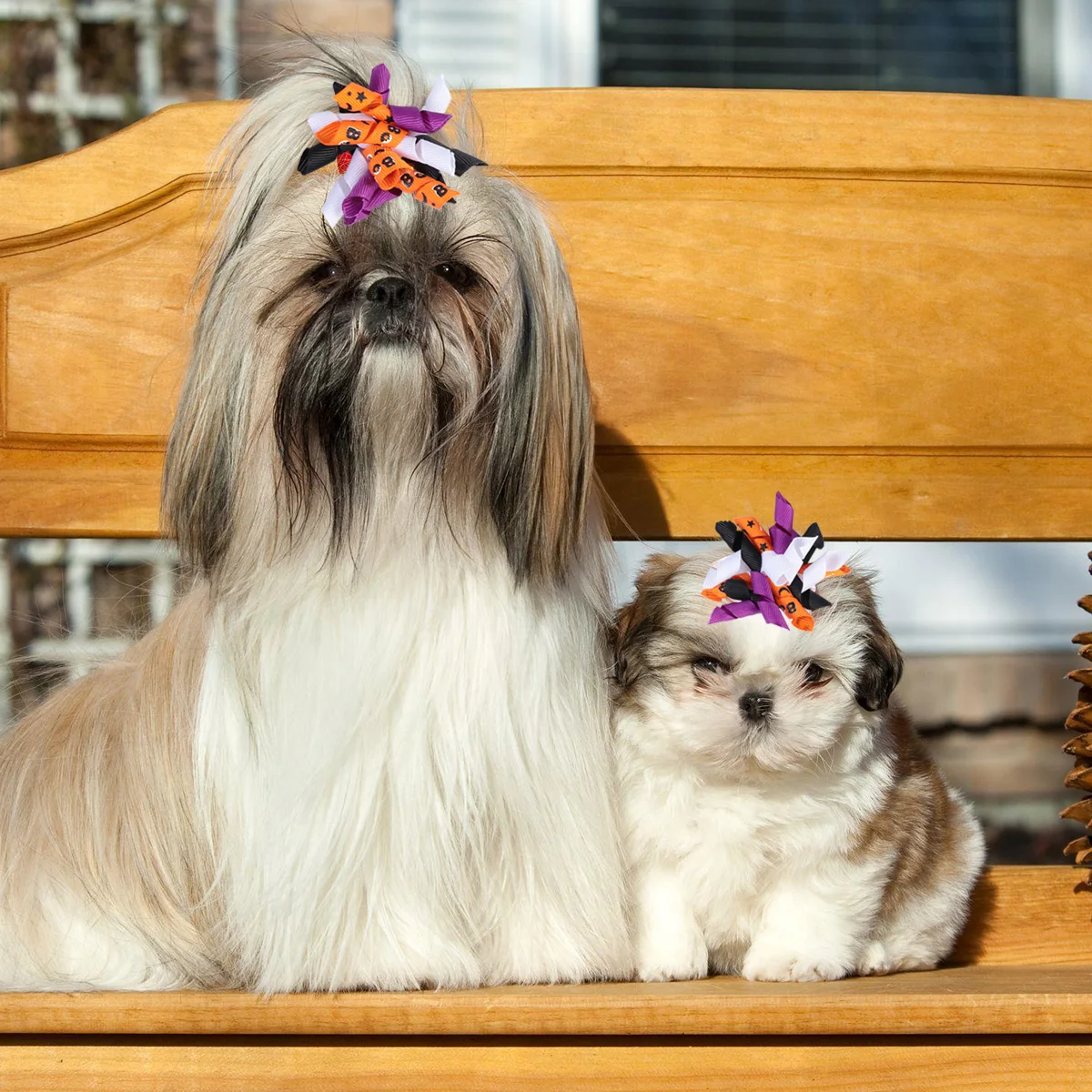 

Halloween Hair Accessories Pet Dog Decoration Set Puppy Rubber Bands Bow Tie Cloth for