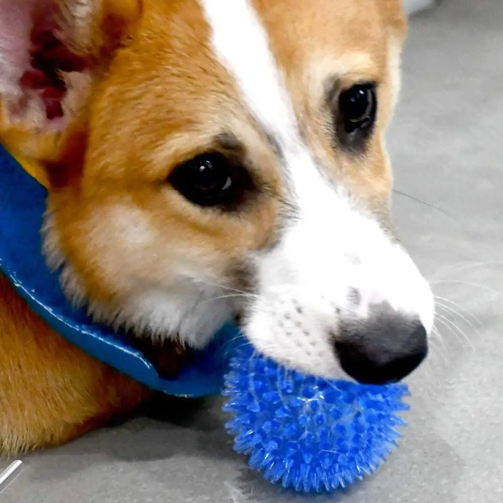 Pet Dog Toys Cat Puppy Sounding Toy TPR Soft Tooth Cleaning Elastic Ball Pet Interactive Chew Toy Thorn Balls Pet Accessories
