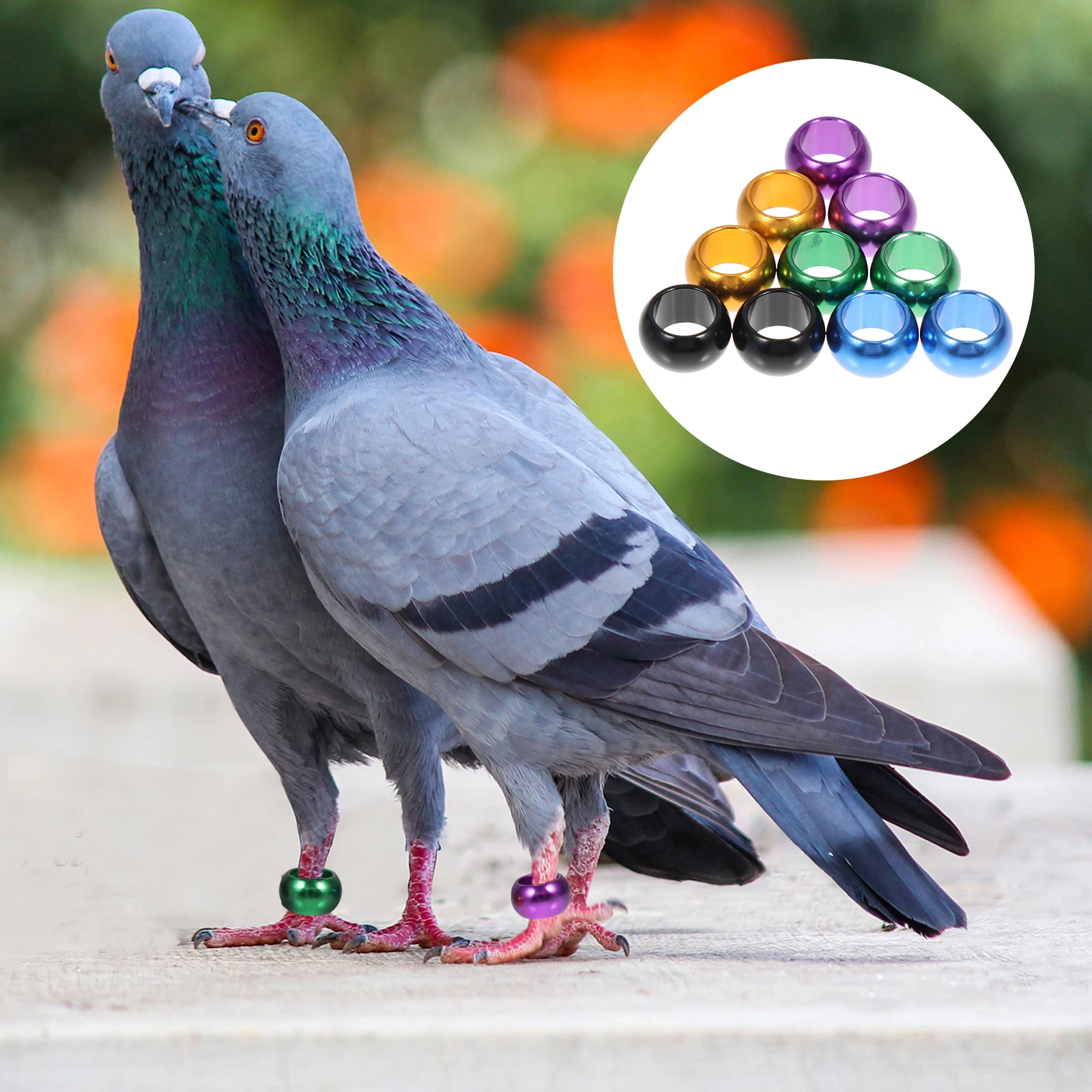 

10pcs Aluminum Bird Leg Bands No Letter Foot Ring For Pigeons Chickens Parrots Homing Pigeon Metal Foot Ring Poultry Leg Band