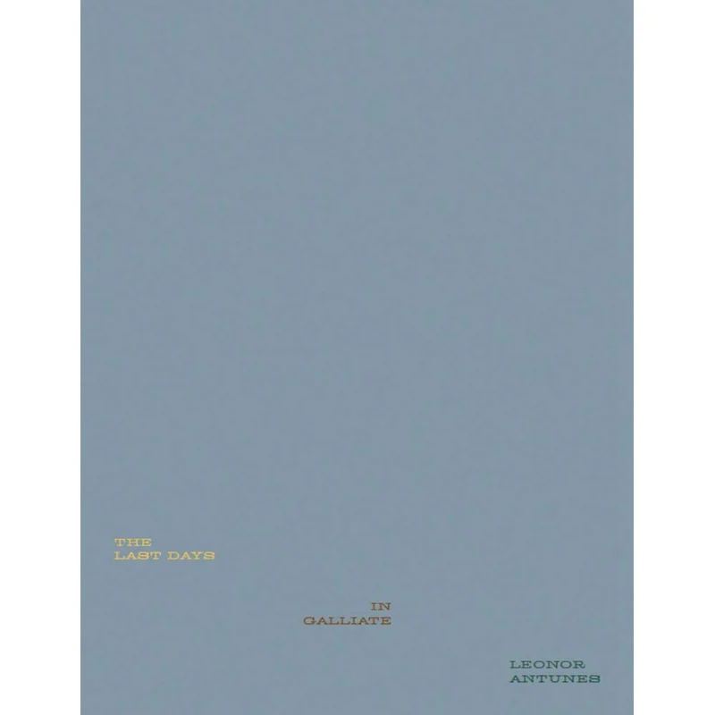 

Леонор-Антоны Последние дни в галлиате Skira Skira 9788857241029 Книга