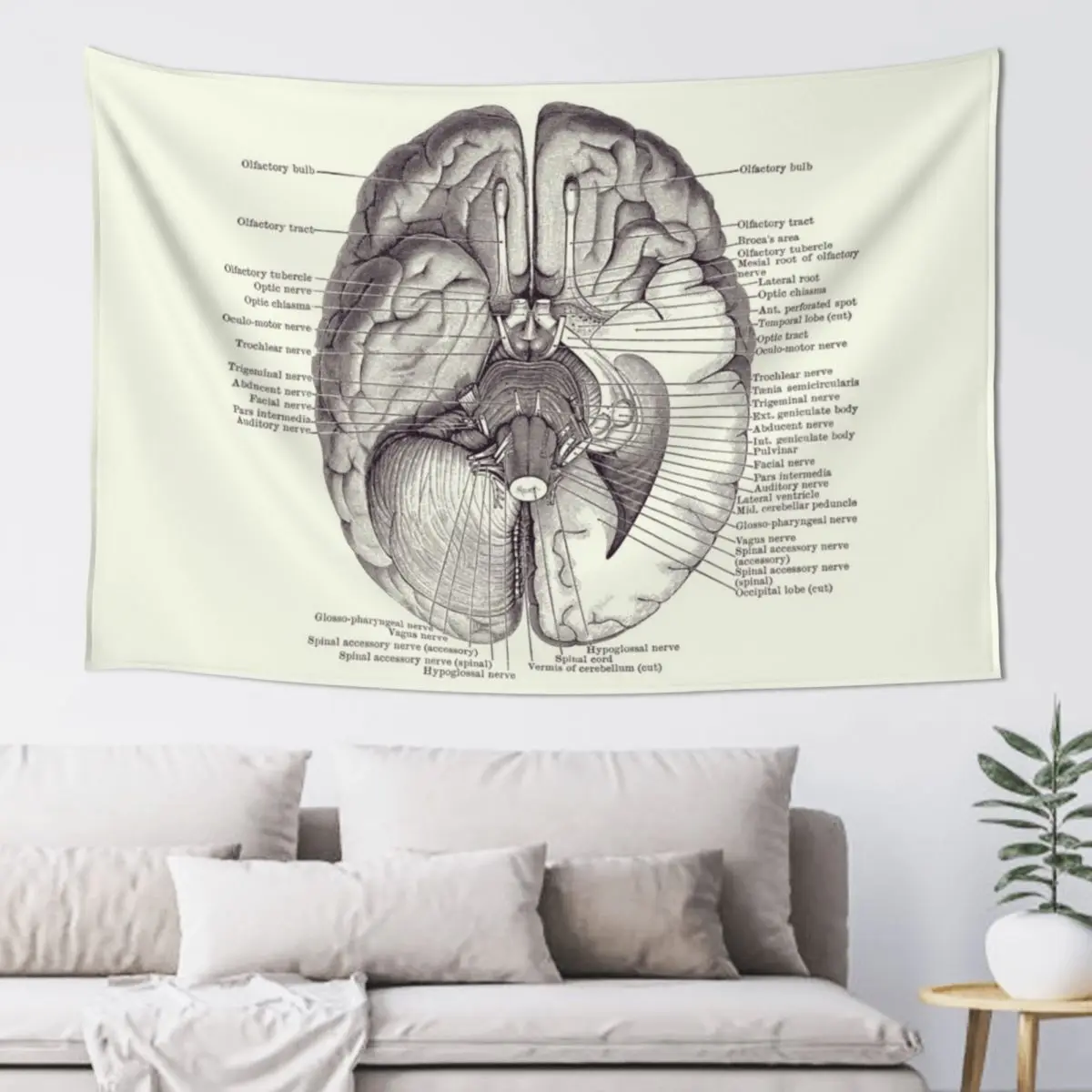 Brain Nervous System Diagram - Vintage Anatomy 2 Tapestry Room Decoration Korean Style Wall Hanging Wall Tapestry