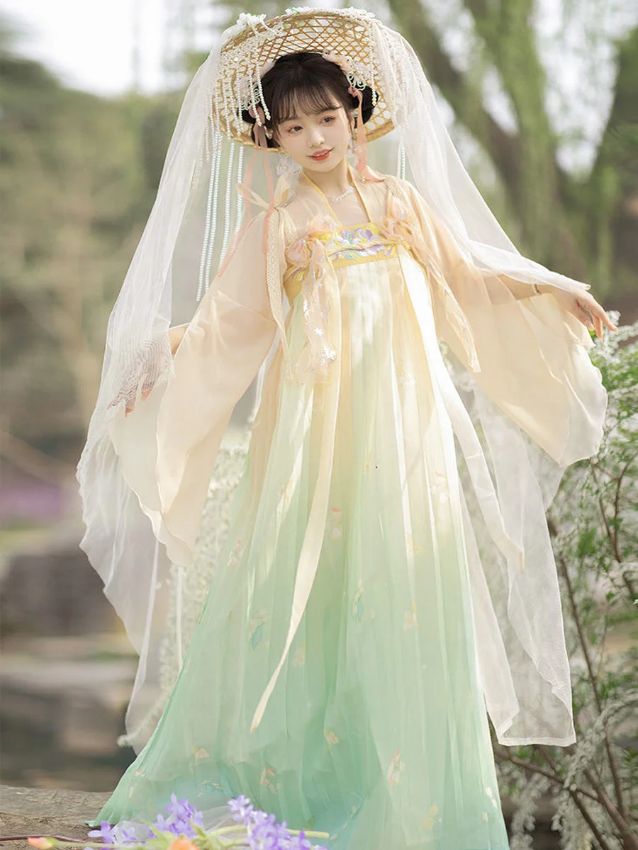 

Costume Hanfu Tang Dynasty Female Skirt Folk Dance Costume Chinese Traditional Fairy Princess Dress Stage Performance Costume