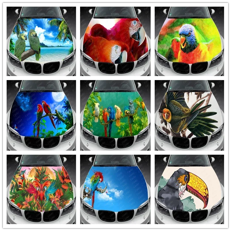 

Cute Parrot Animal Car Hood Vinyl Stickers Wrap Vinyl Film Engine Cover Decals Sticker Car Auto Accessories