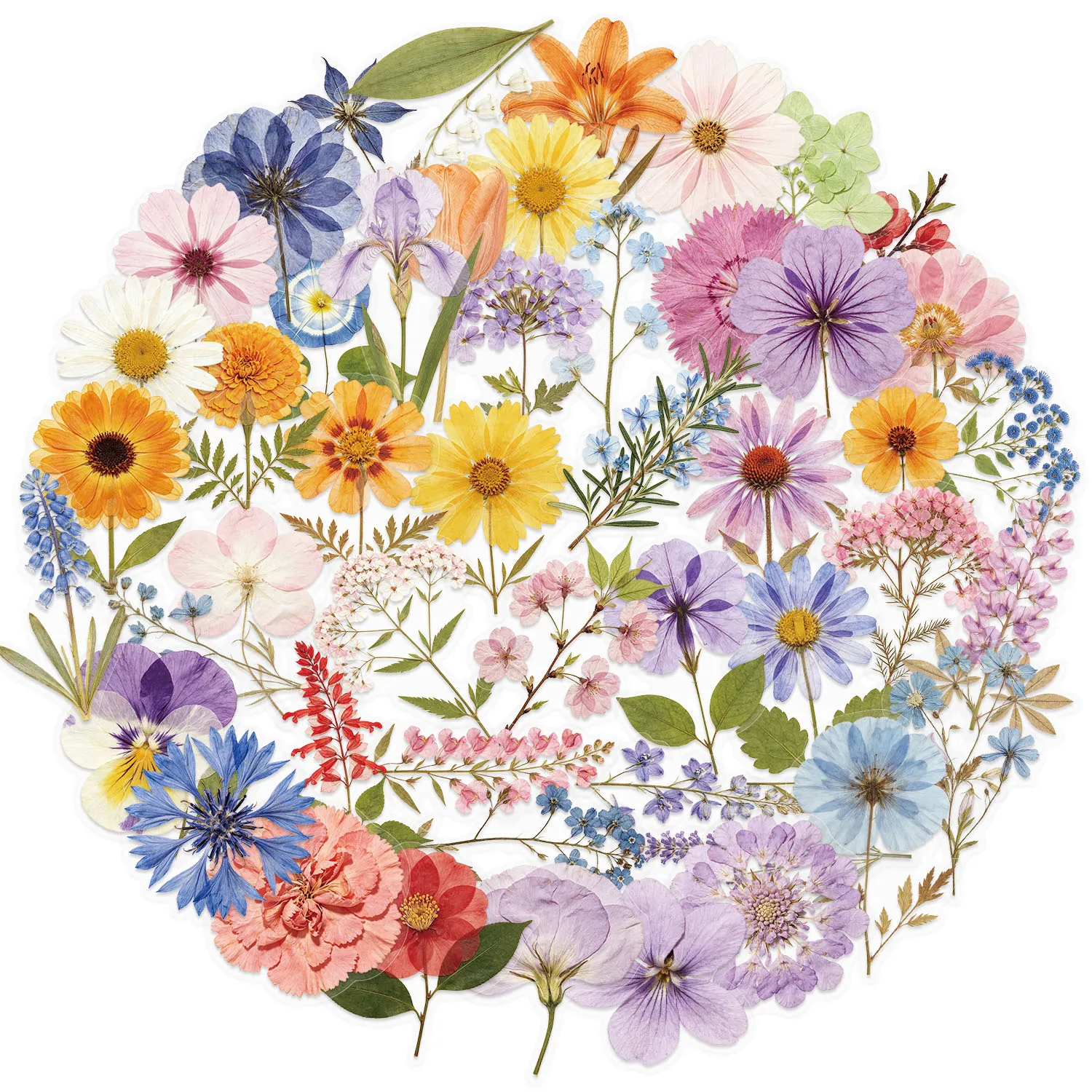 50pcs Transparent Mixed Flower Plants Stickers for DIY Waterproof Suitcase Phone Laptop Water Bottle Laptop Scrapbooking