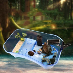 Translucent Plastic Reptile, , Turtle, Turtle, Tank, Nurseries, Terrariums, Box with Coconut Tree Ornament