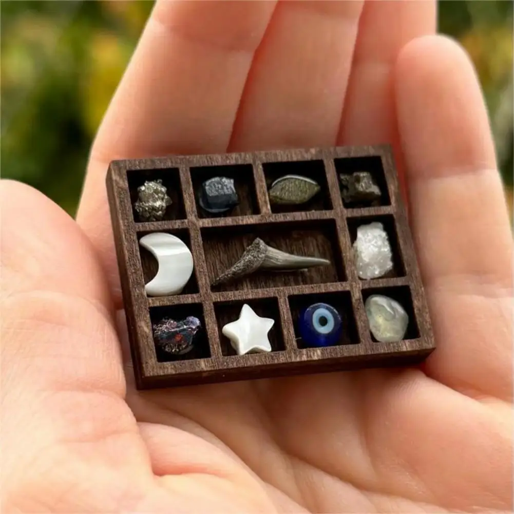 

Miniature Treasure Shelf Miniature Trinket Shelf for Gems Shells Mini Collectibles Display Organizer for Mini Figures Storage