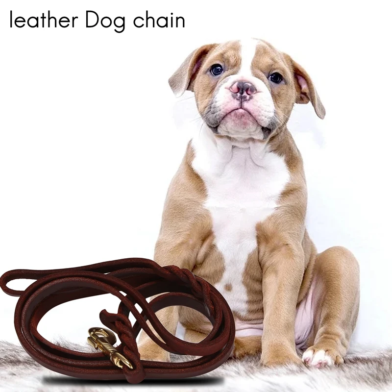 2M Long Leather Braided Pet Dog Walk Traction Collar Strap Training Leash Lead