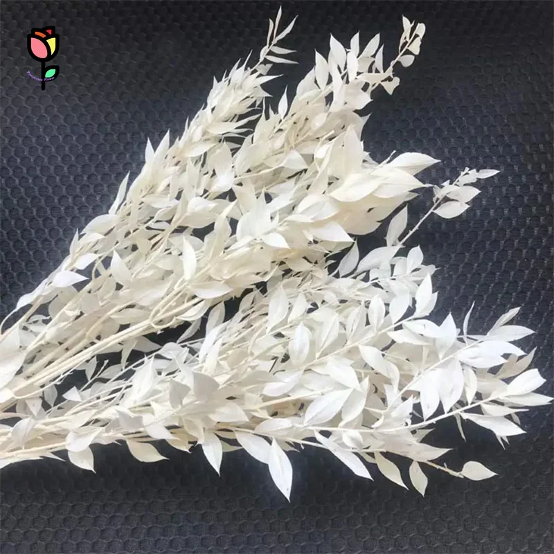 

50g Dried Natural Ruscus Leaves Wedding Party Decoration Arrangement Real Flower Dry Sliver Grass Bouquet Home Living Room Decor