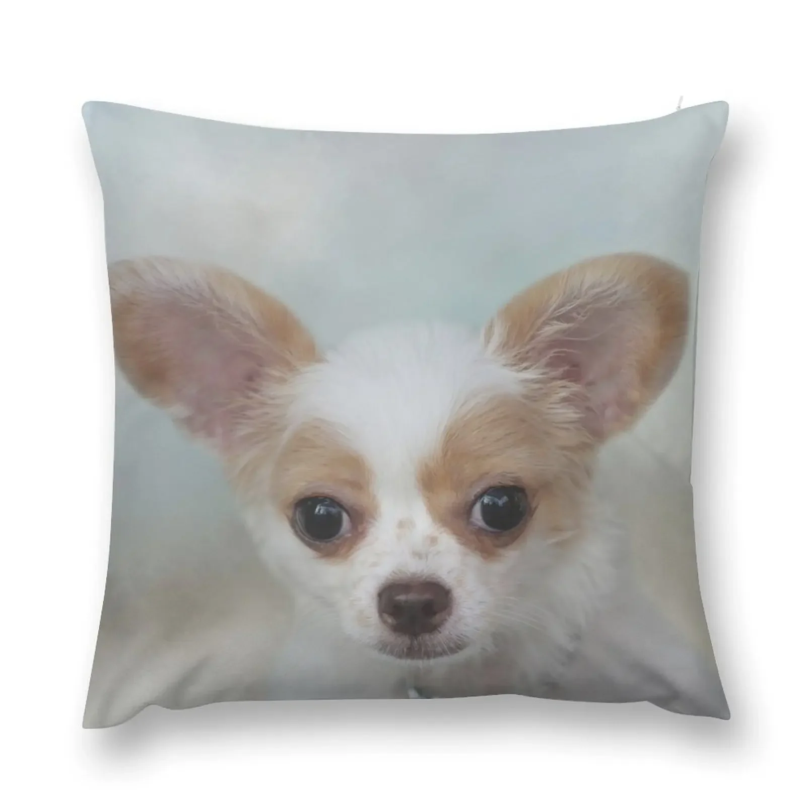 Brown and White Chihuahua Puppy 01 Throw Pillow Embroidered Cushion Cover Decorative Cushion Cover Pillowcase Cushion pillow