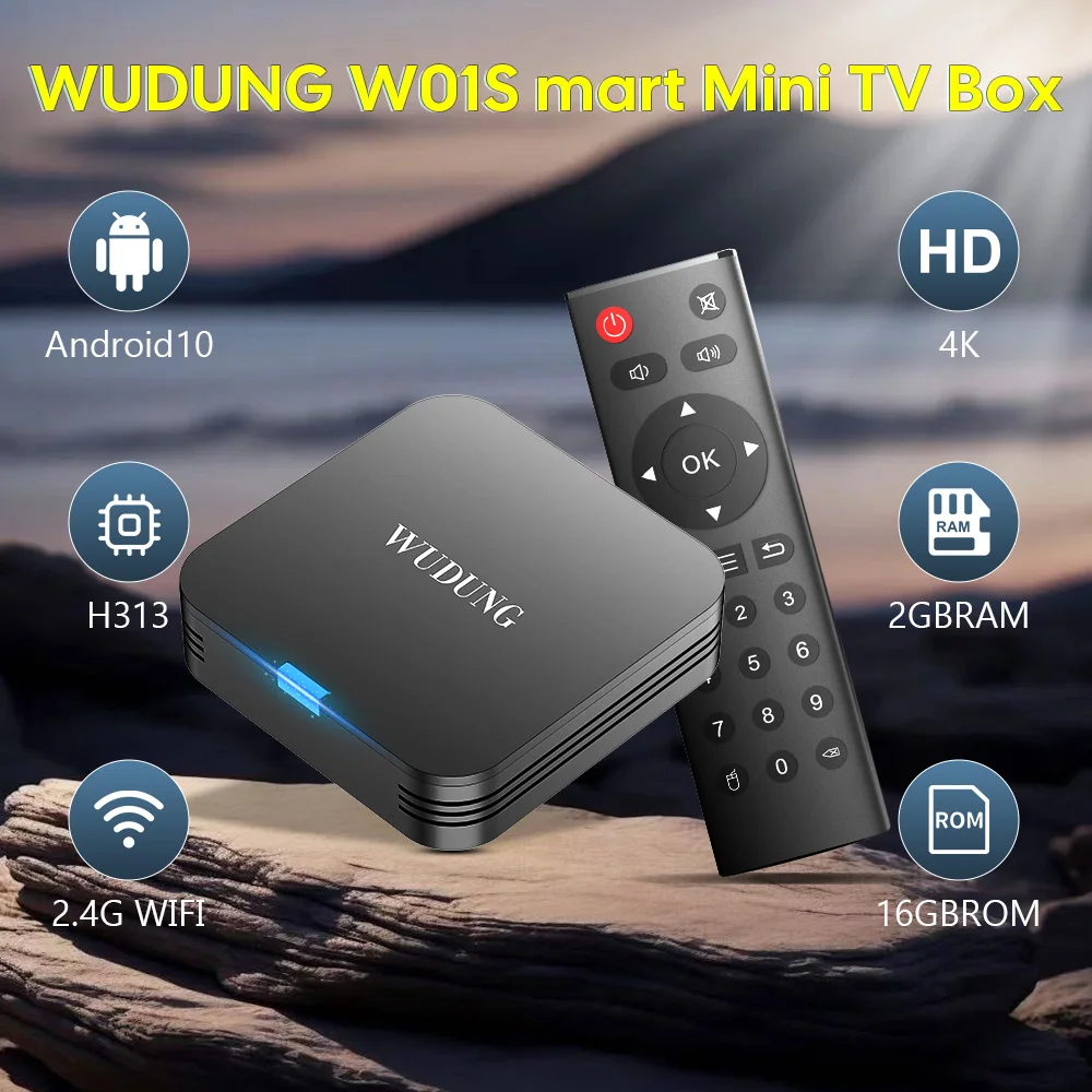 WUDUNG W01 Mini Android 10 Allwinner H313 Smart TV Box 2,4G Wifi 4K HD decodificador reproductor multimedia 2GB 16GB