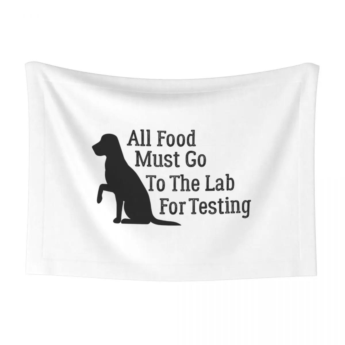 

Soft Fluffy High Quality Pet Blanket All Food Must Go To The Lab For Testing Pet Mat Warm and Comfortable Blanket for Cat Dogs