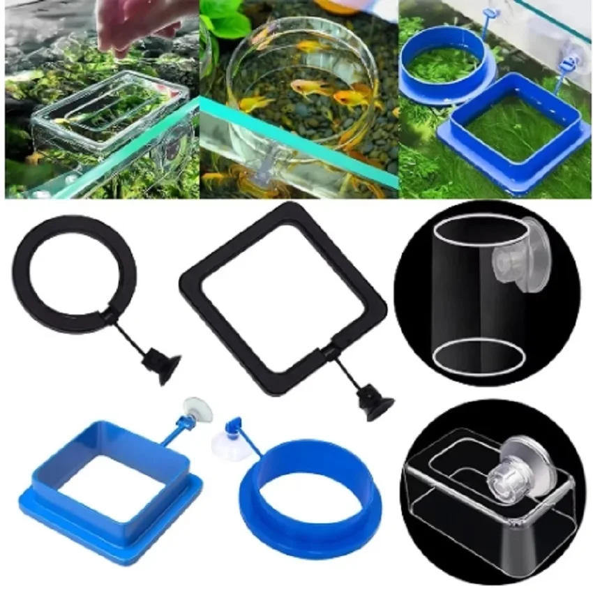 Aquarium Fish Feeding Ring Equipped Suction Cups Portable Circular Square Aquatic Animal Feeder Aquarium Fish Tank Feeding Tools