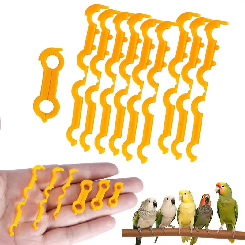 5Pcs 4/5/6Mm Parrot Corrector Chicken Budgie Peony Budgie Cockatiel Fledgling Bird Eight Character Correction Ring Bird Supplies