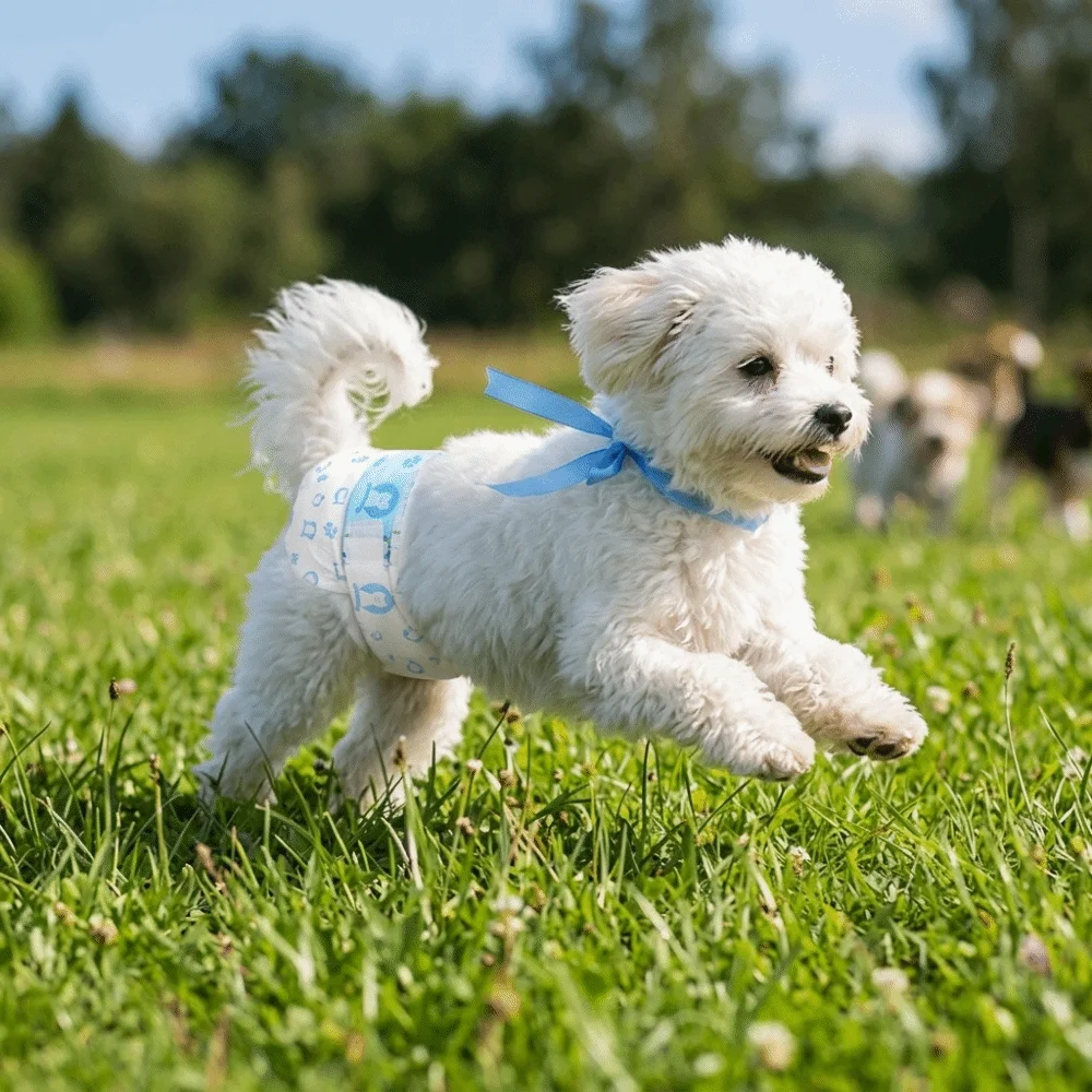 

Odor Control Absorbent Layer Pet Pee Pad Leak Proof Quick Dry Dog Diaper Soft Surface Single-use Pet Underpad Pet Menstrual Care