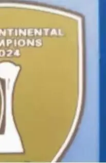 25 toppe da calcio USA Toppa da club 2025 ORO Altri Velluto per mazze Toppa da calcio termoadesiva Distintivo sul petto