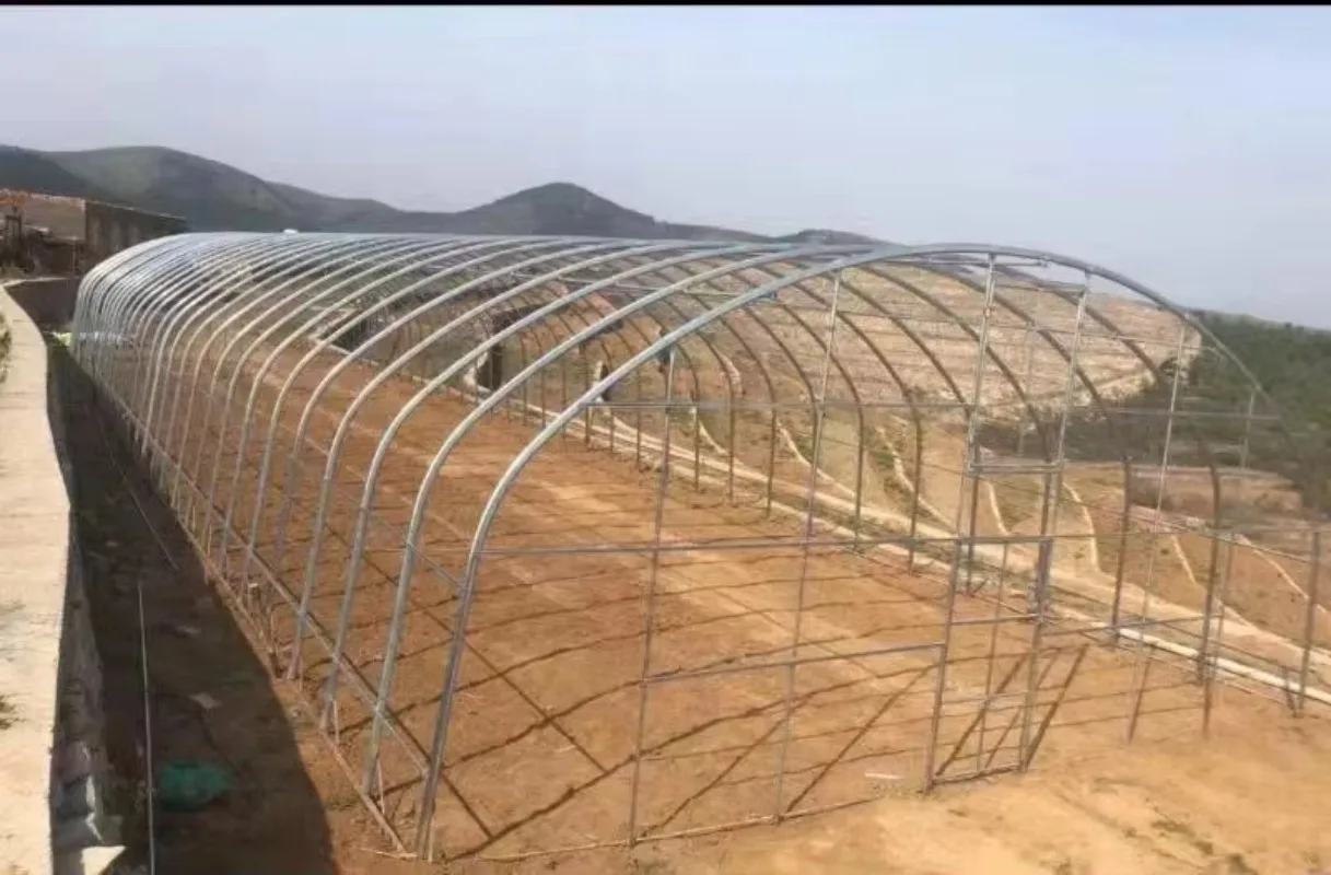 

Farming Greenhouse Tent Grow Garden Tent Complet Kit for Hydroponic