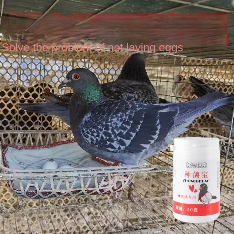 Breeding pigeon treasure 50g female pigeon Male pigeon increase fertilization improve egg health parrot universal