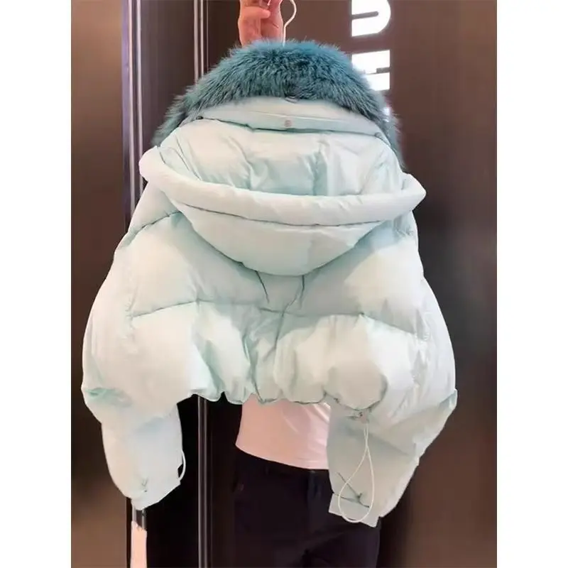 High Appearance Level and High Quality Solid Color Hooded Jacket Autumn and Winter New High-end Imitation Fox Collar Cotton Coat