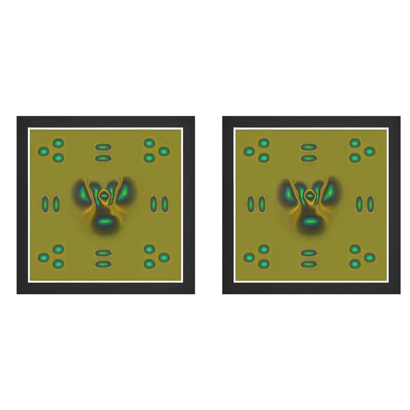 A02M-2X Magnetic Field Viewing Film,Magnetic Field Detector To See Magnetic Fields For Scientific Project Teaching 4 X 4 Inch