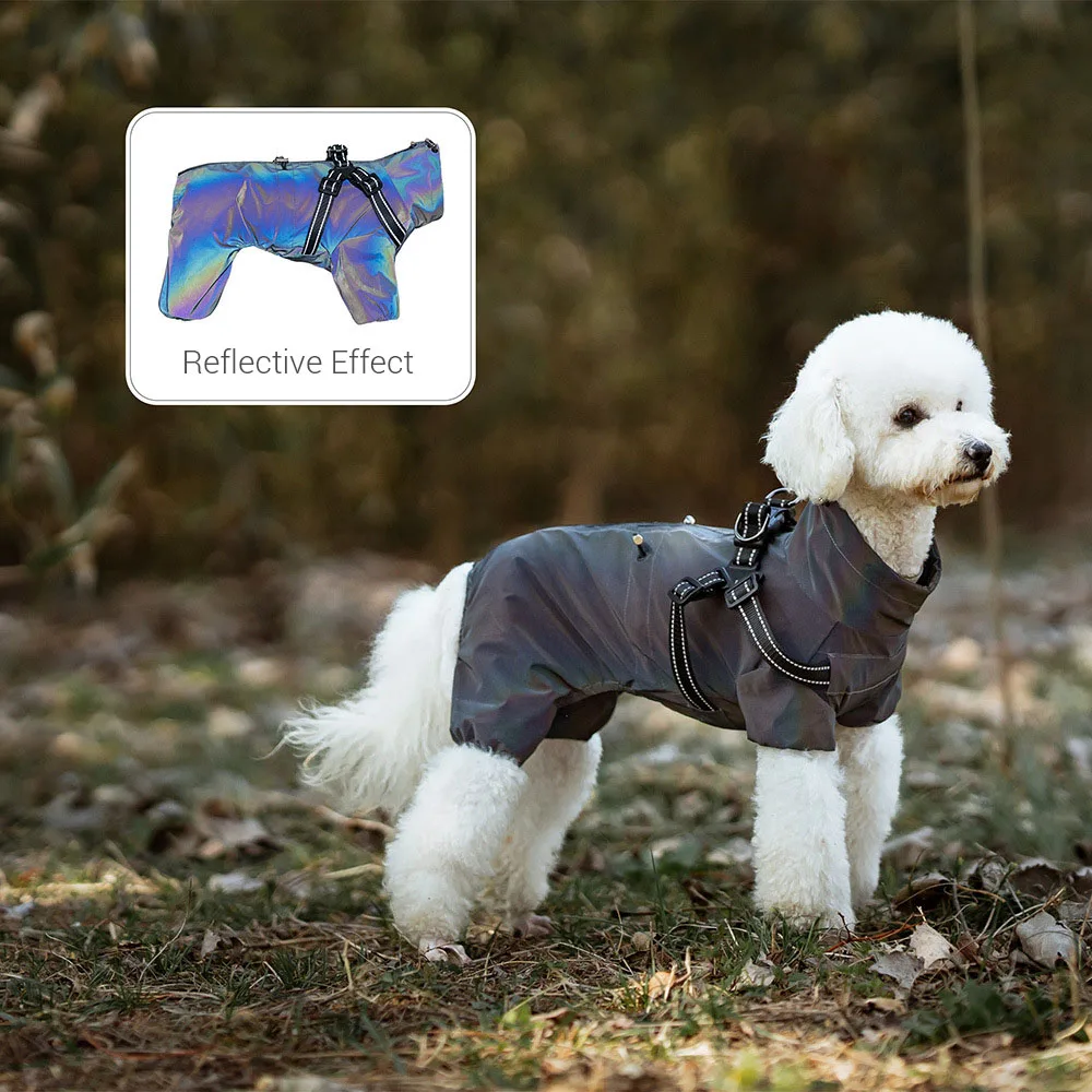 Thumbnail 4 - #39 Best Dog Harnesses to Buy In 2026