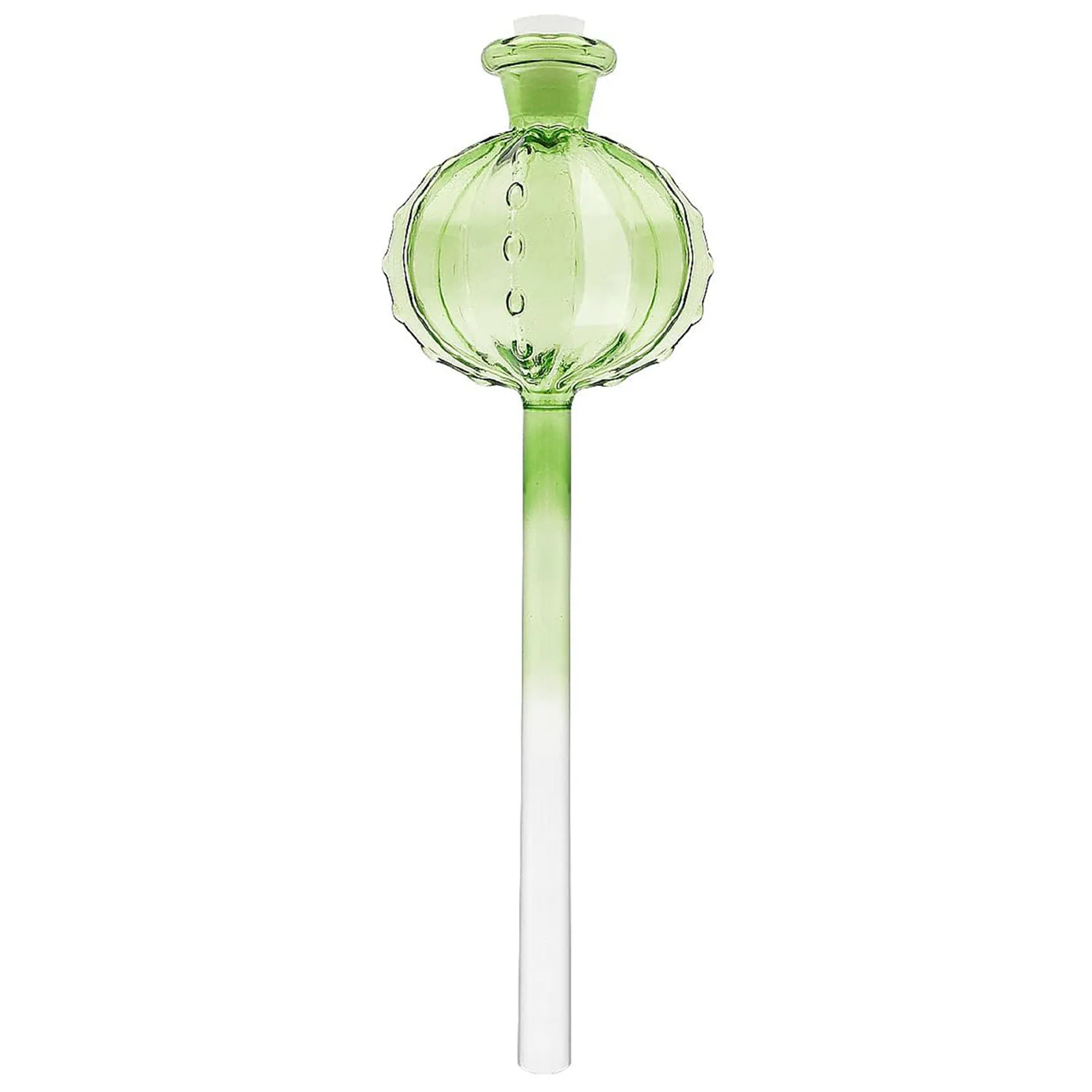 

Home Plant Self Watering Bulbs Transparent Flower Automatic Watering Device for Garden Home Potted Plants