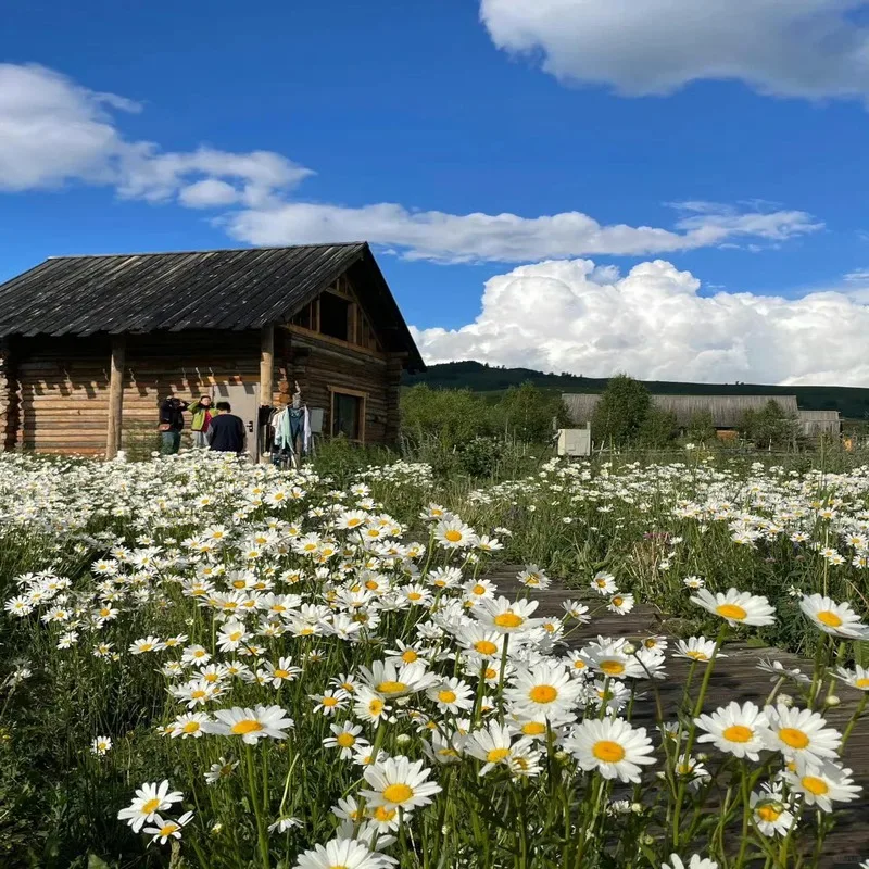 Máquina de depilación 2 en 1 de diodo y picosegundo 808NM con depiladora láser de eliminación de tatuajes Pico Q conmutado ND Yag de 3 longitudes de onda