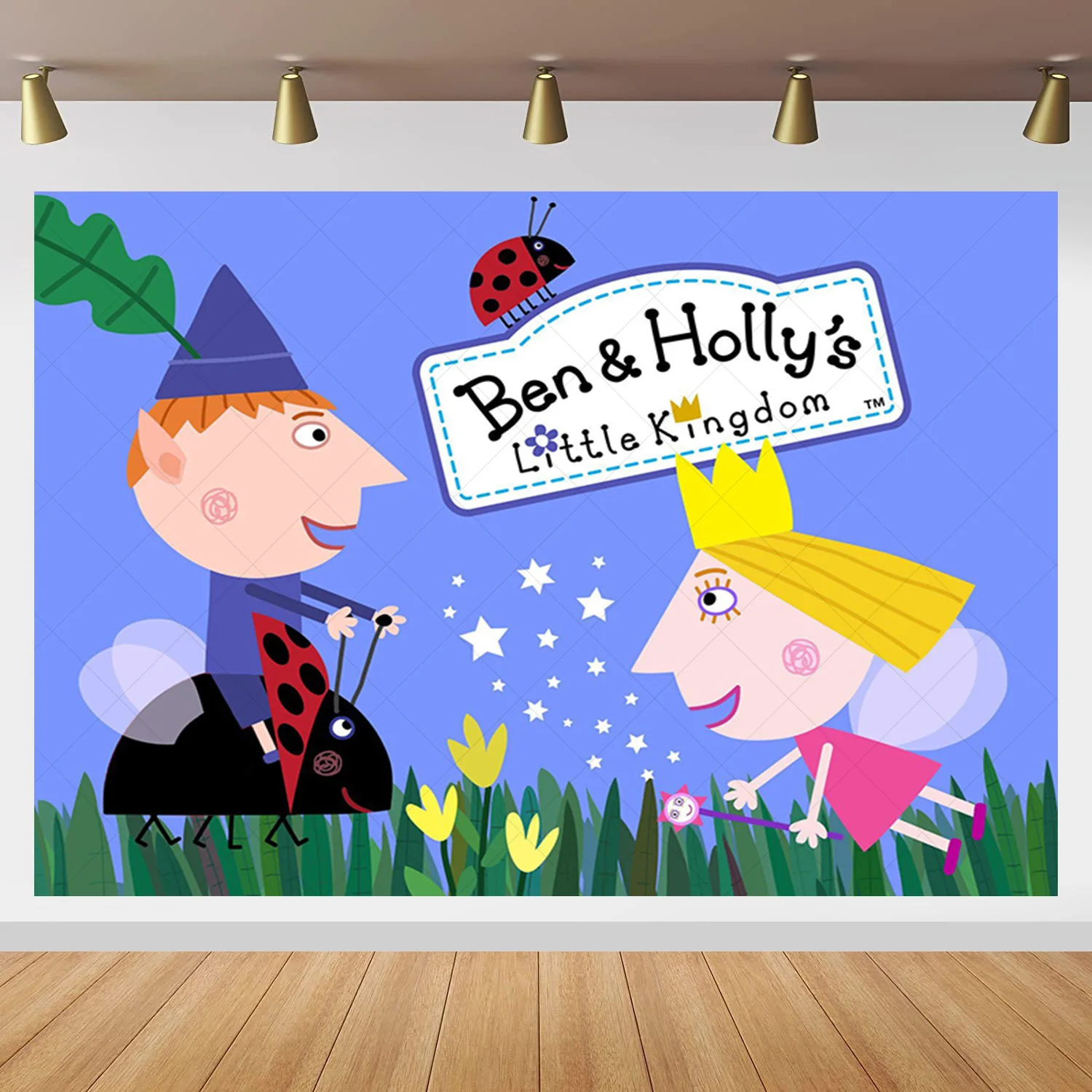 Ben and Holly Kingdom Backdrop Kids Birthday Party Photography Banner Little Queen Girl Vinyl Photo Background Props