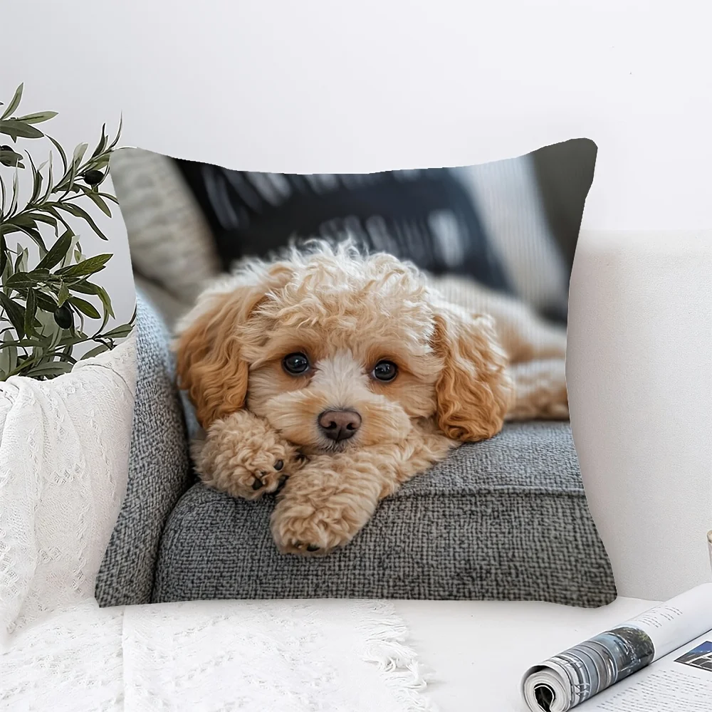 Funda de almohada con estampado de cachorro Maltipoo, color albaricoque, estampado 2D de doble cara, funda de cojín de poliéster para decoración del hogar, sofá, coche y dormitorio, 1 ud.