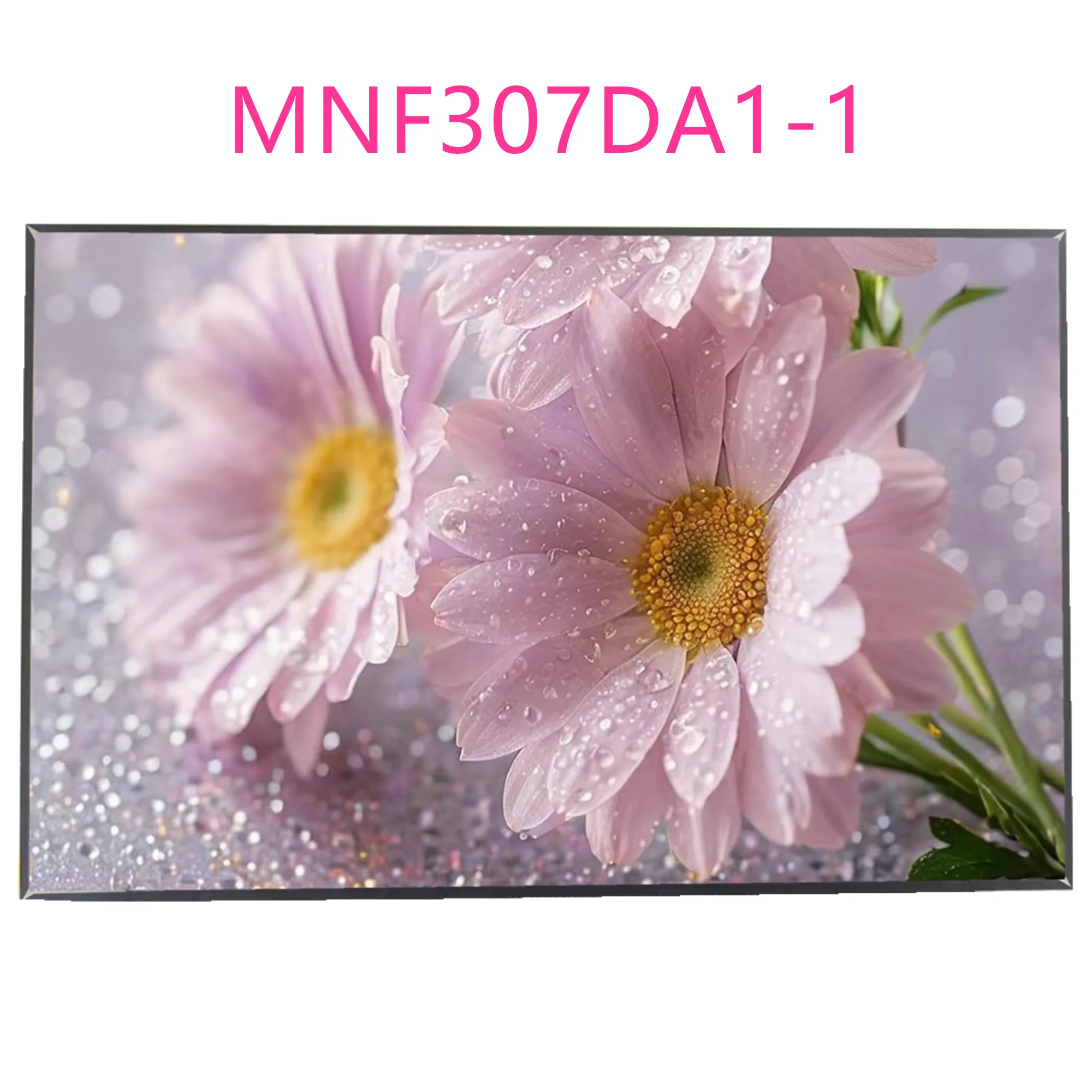 15.3'' MNF307DA1-1 Laptop LCD Screen Display Panel Matrix