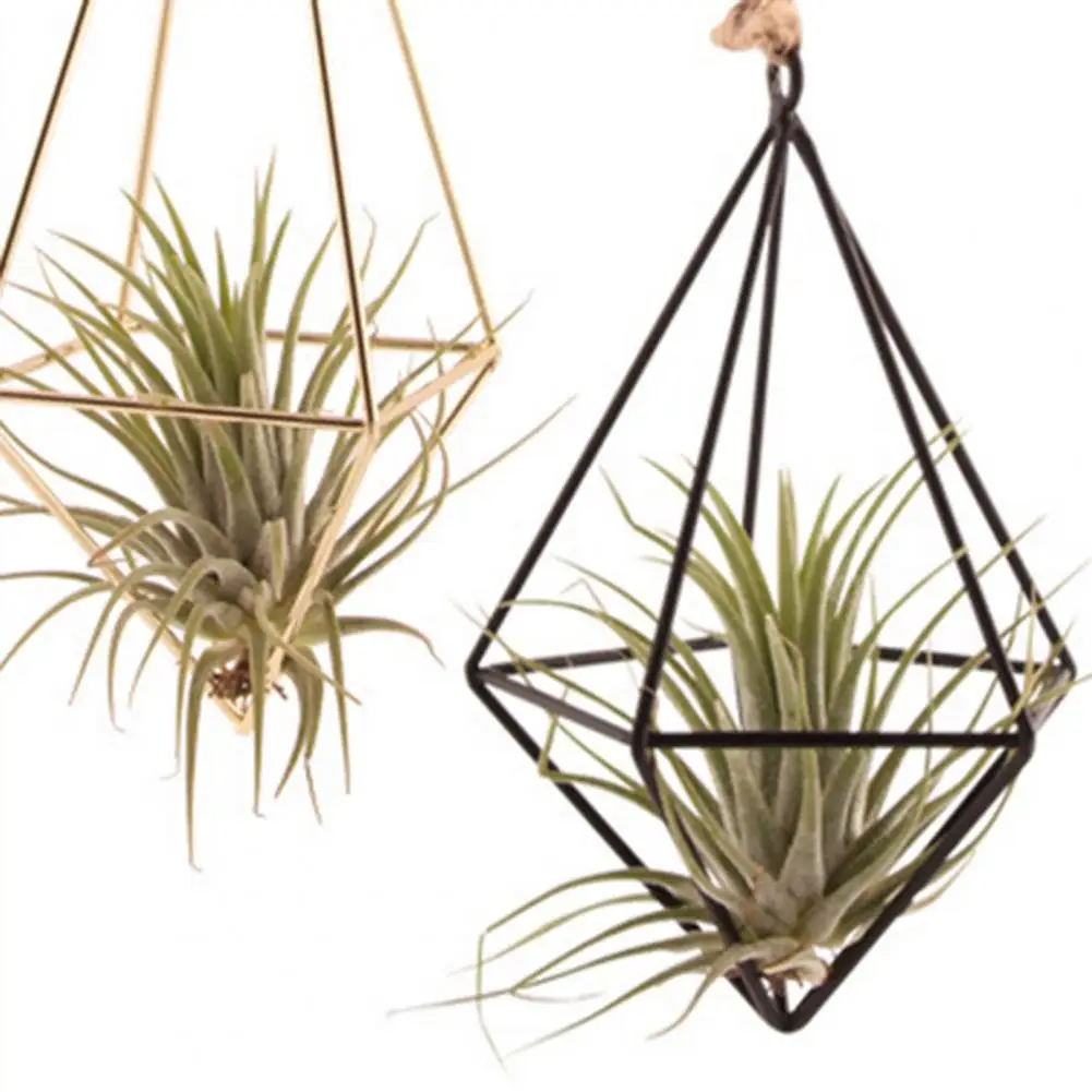 Hollow Flowerpot Propagation Stations Glass Hanging Geometric Plant Iron Stand Air Plant Holder Wedding Home Dinning Room Decor