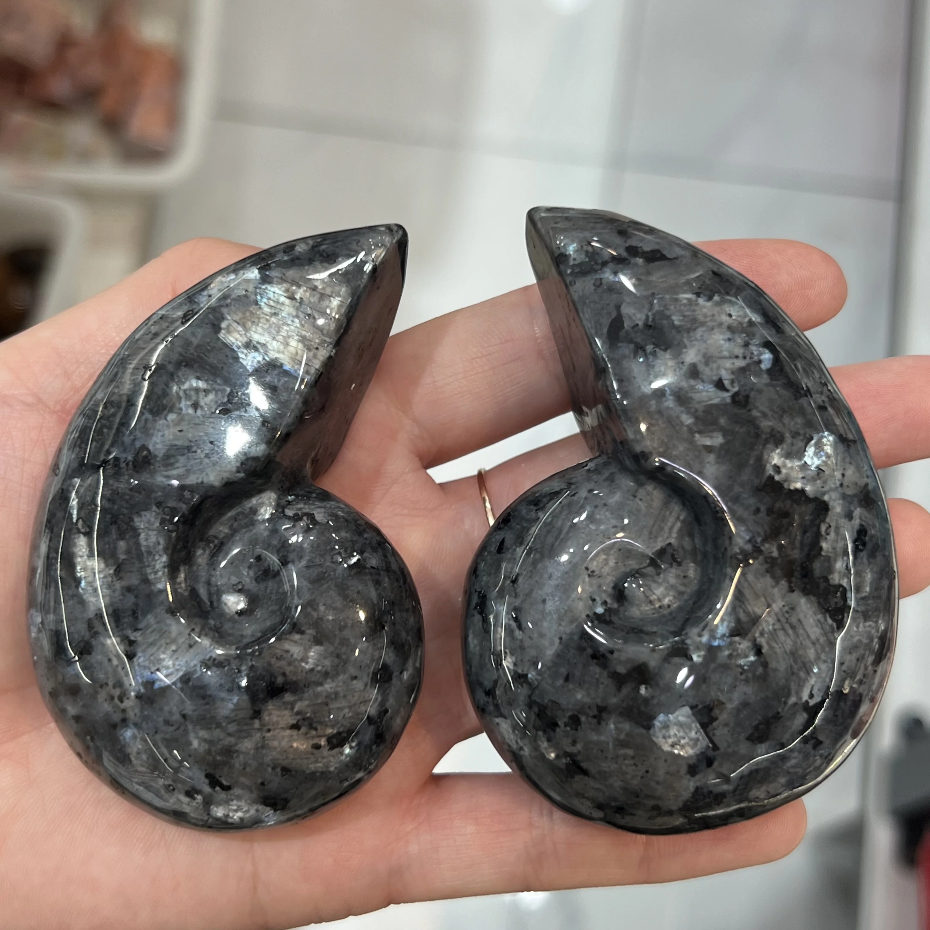 Natural Firework Stone Snail Shape Crystal Astrophyllite Quartz Mineral Healing Home Decoration