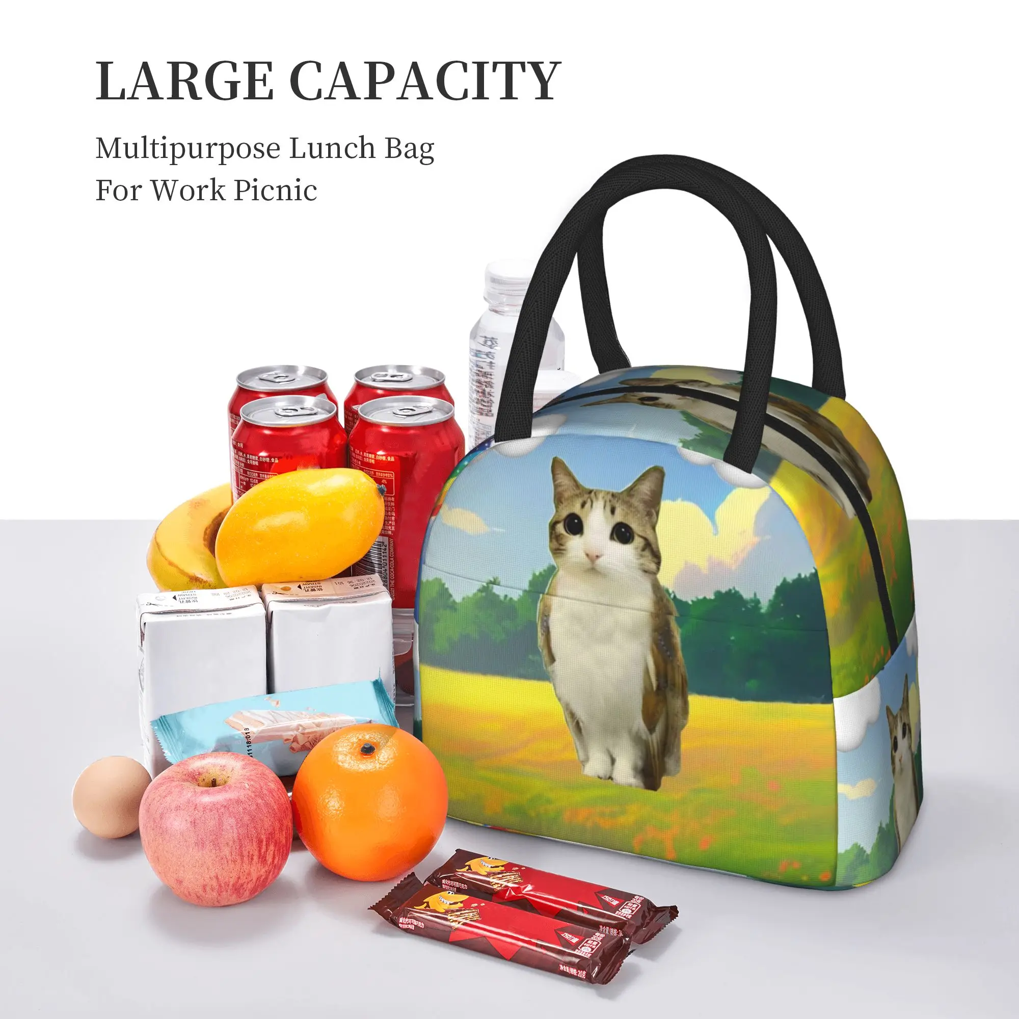 Meowl Cat Owl Meme  Insulated Lunch Bag Thermal Bag Meal Container  Portable Lunch Box Tote for Men Women Work  Travel