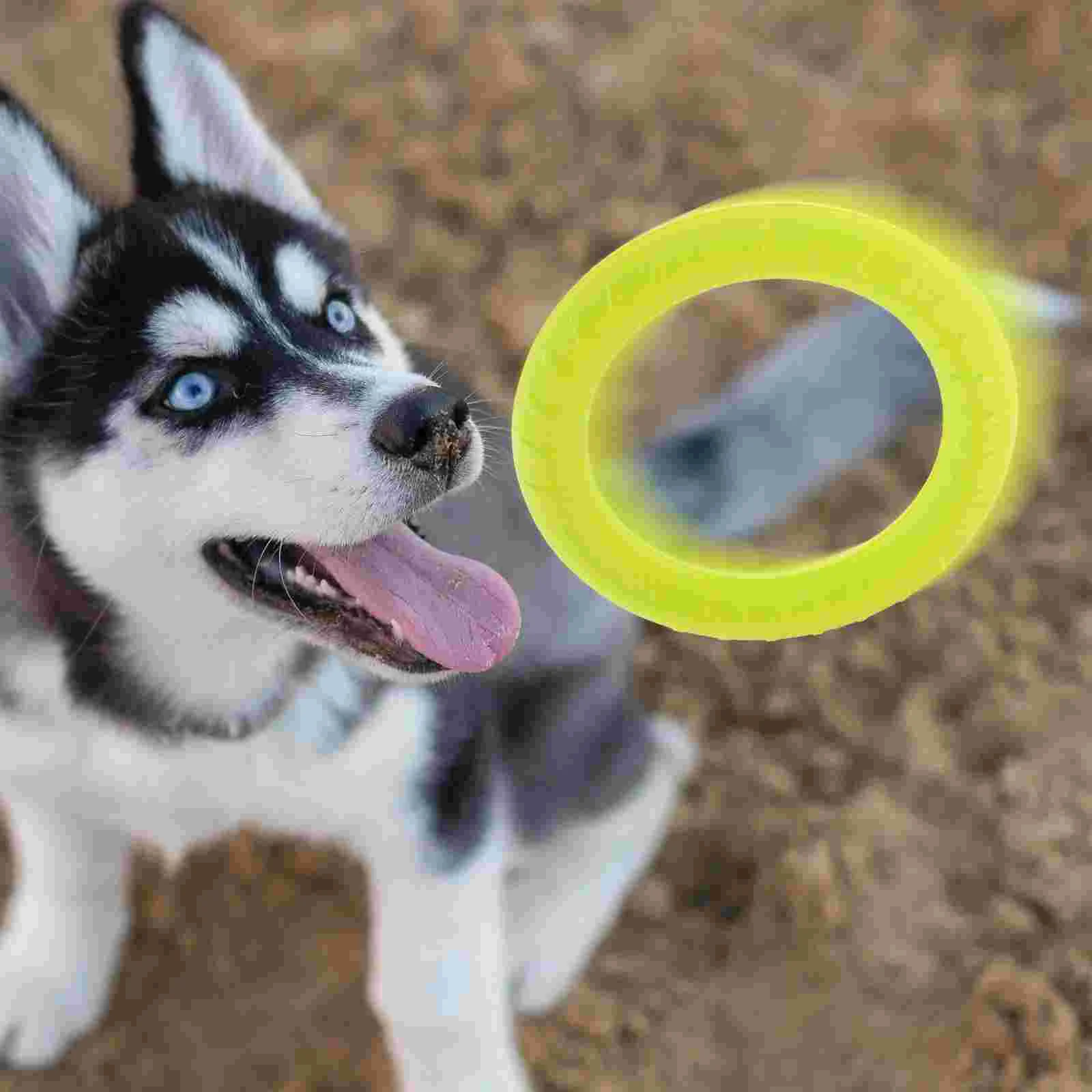 

Floating Dog Ring Training Accessories Swimming Toys Eva Wear-resistant Plaything