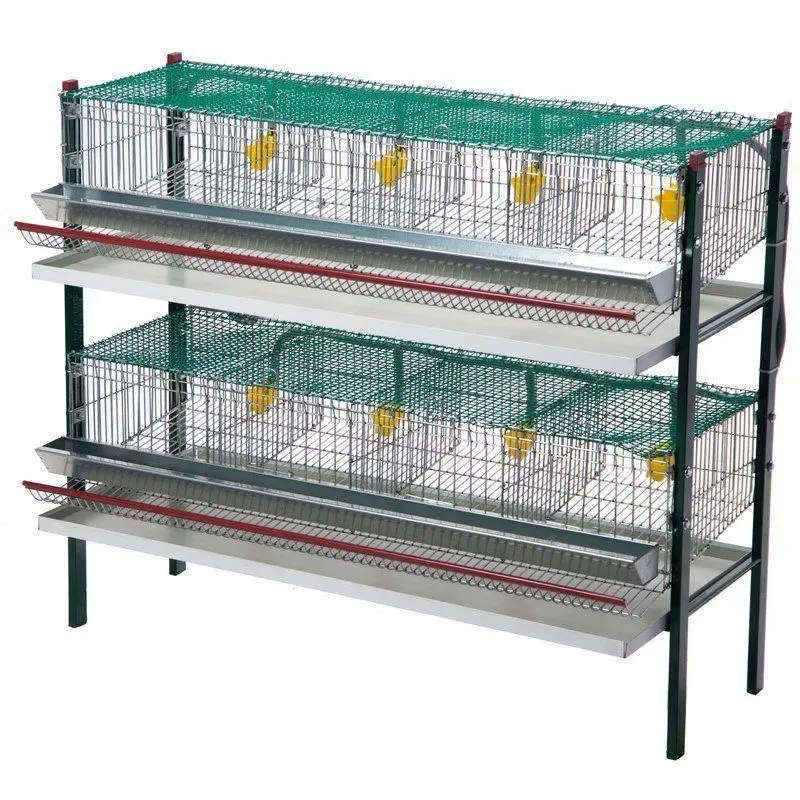 

Cages For Quails 2 Floors