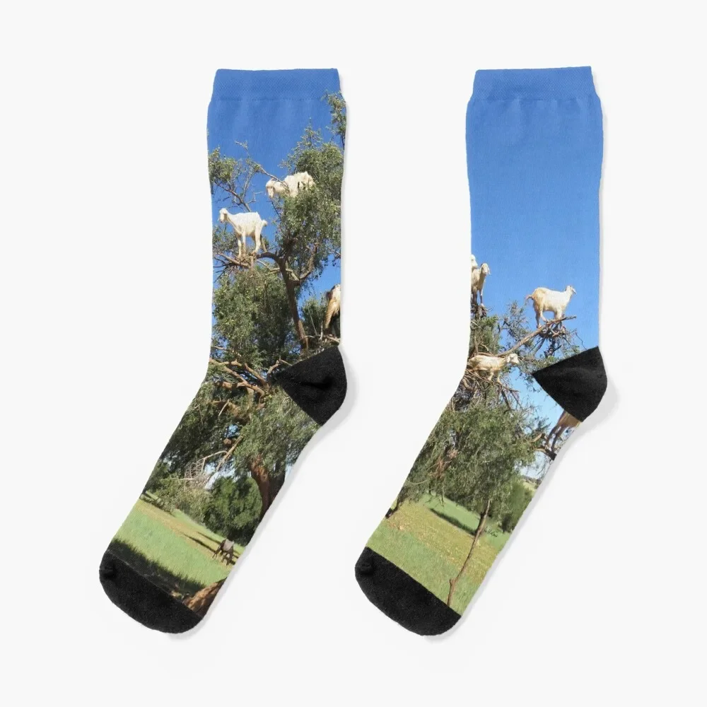 

goats in trees Socks professional running anime Men's Socks Women's