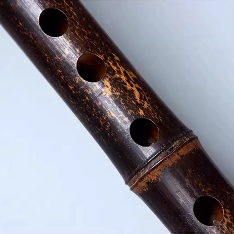 مزمار الخيزران التقليدي 1 قسم المهنية عرضية الناي المبتدئين الكبار تهب أدوات الرياح المزامير العرقية الصينية #6