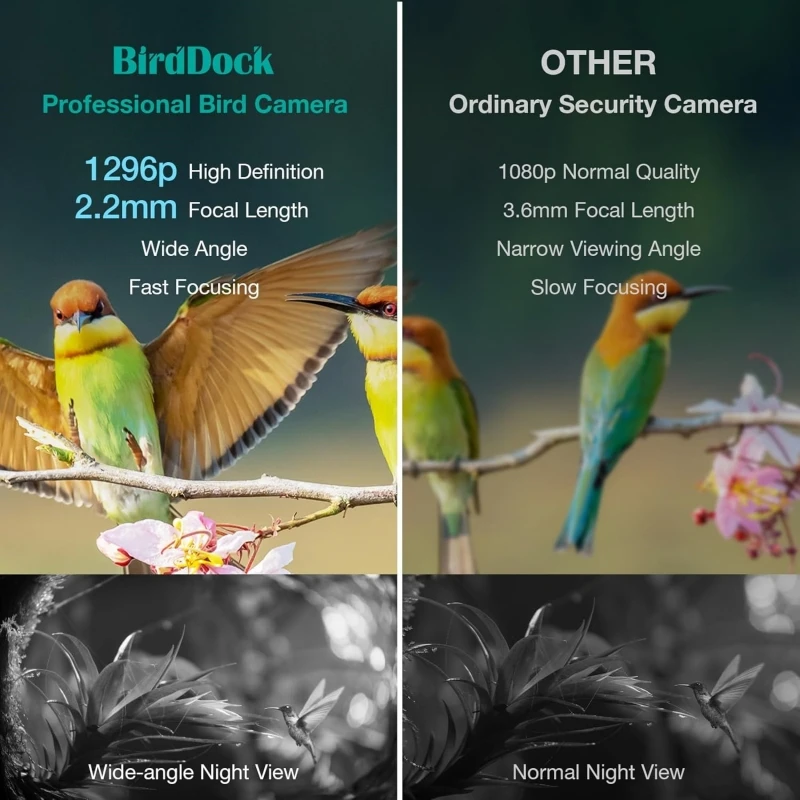 Smart bird feeding camera with solar panels, free AI to identify bird species, automatically capture bird videos, ideal gift