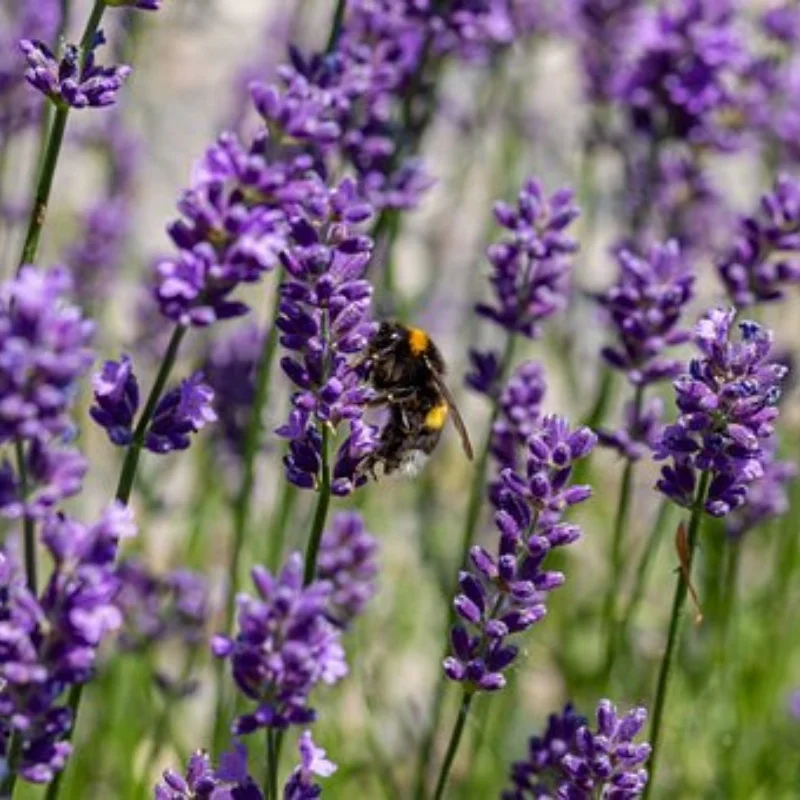 

Инструмент для разборки металлических шин в сборе для 1/10 RC Drift Car Motors, аксессуары для обновления